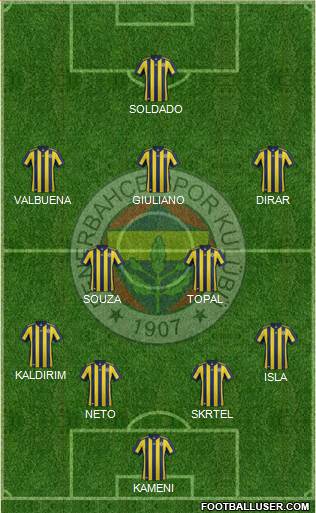 Fenerbahçe SK Formation 2017