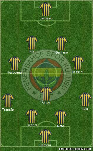 Fenerbahçe SK Formation 2017