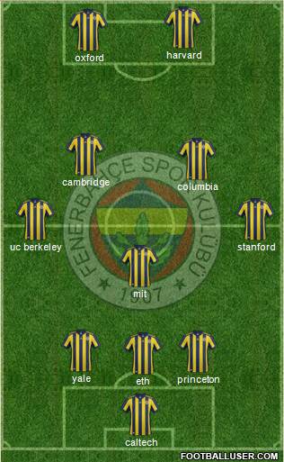 Fenerbahçe SK Formation 2017