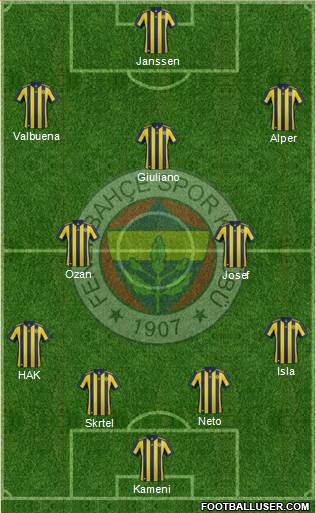 Fenerbahçe SK Formation 2017