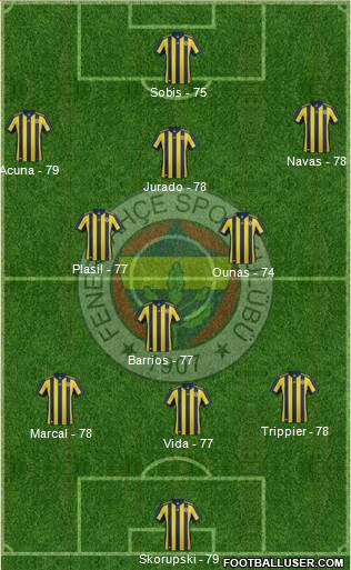 Fenerbahçe SK Formation 2017