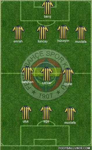 Fenerbahçe SK Formation 2017