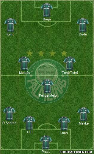 SE Palmeiras Formation 2017
