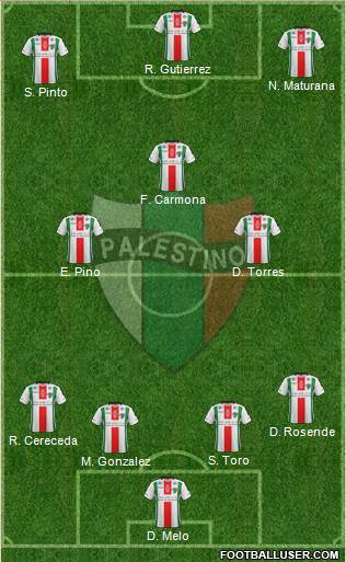 CD Palestino S.A.D.P. Formation 2017