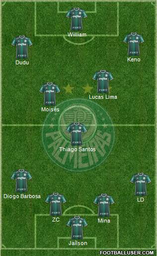 SE Palmeiras Formation 2017