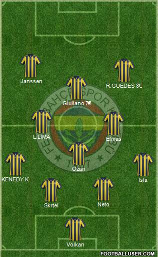 Fenerbahçe SK Formation 2017