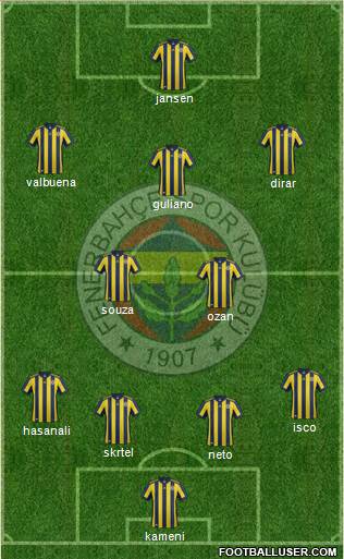 Fenerbahçe SK Formation 2017