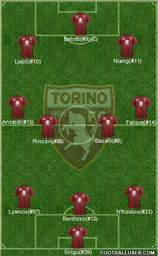 Torino Formation 2017