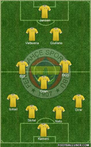 Fenerbahçe SK Formation 2017