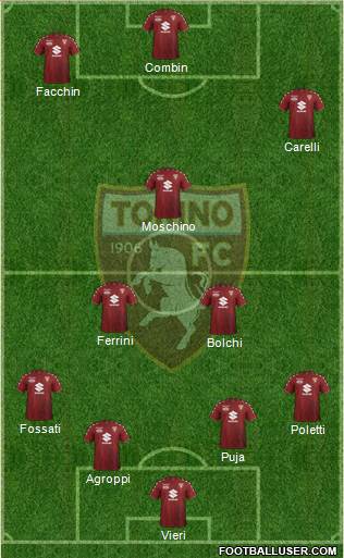 Torino Formation 2017