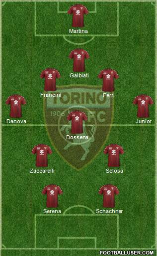 Torino Formation 2017