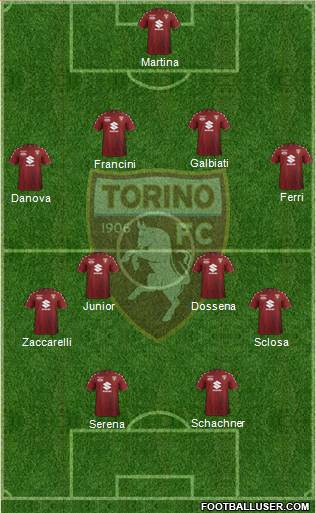Torino Formation 2017