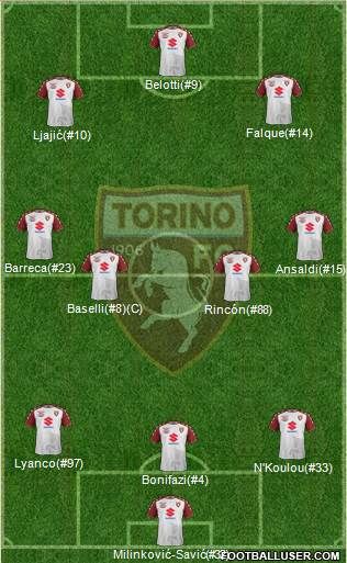 Torino Formation 2017