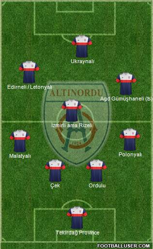 Altinordu Formation 2017