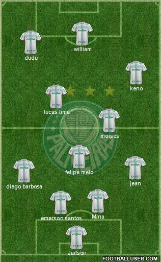 SE Palmeiras Formation 2017
