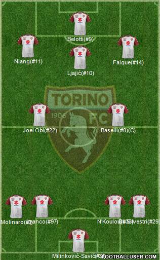 Torino Formation 2017