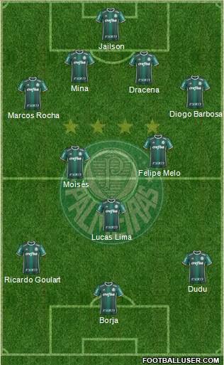 SE Palmeiras Formation 2017
