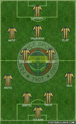 Fenerbahçe SK Formation 2017