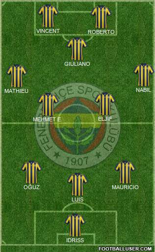 Fenerbahçe SK Formation 2017