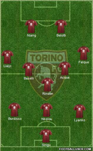 Torino Formation 2018