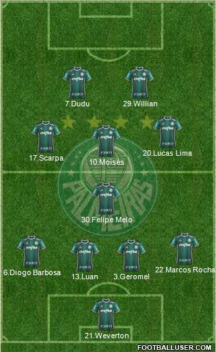 SE Palmeiras Formation 2018