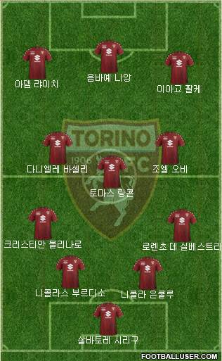 Torino Formation 2018