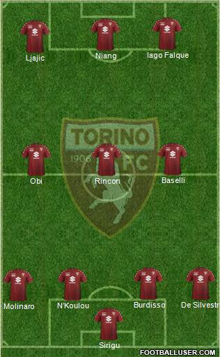 Torino Formation 2018