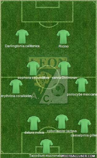 Club Cachorros León Formation 2018