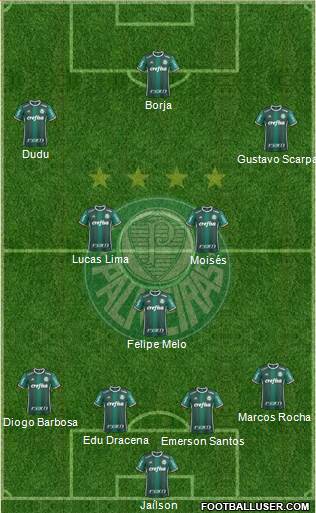 SE Palmeiras Formation 2018