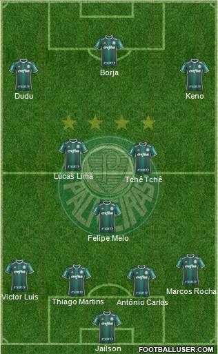 SE Palmeiras Formation 2018
