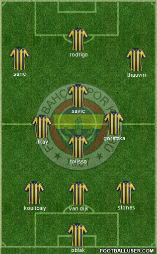 Fenerbahçe SK Formation 2018