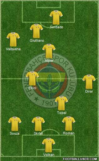 Fenerbahçe SK Formation 2018