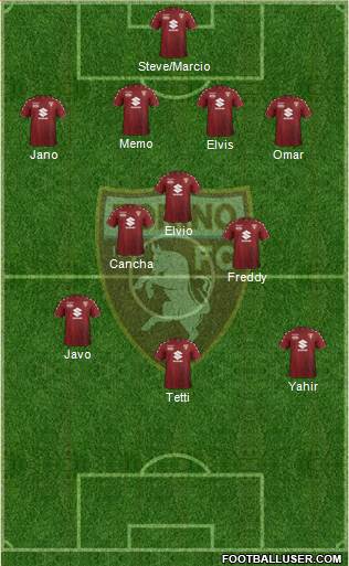 Torino Formation 2018