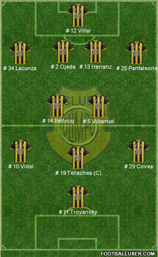Olimpo de Bahía Blanca Formation 2018