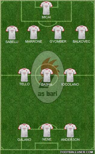 Bari Formation 2018