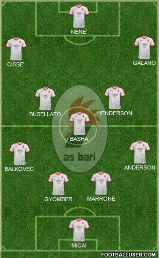 Bari Formation 2018