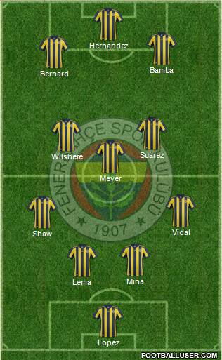 Fenerbahçe SK Formation 2018