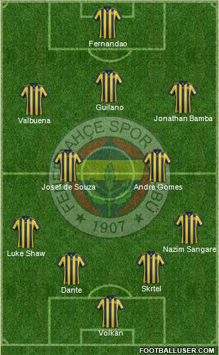 Fenerbahçe SK Formation 2018