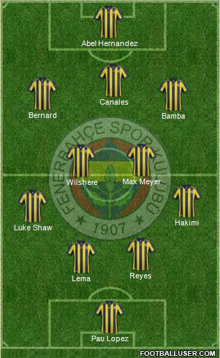Fenerbahçe SK Formation 2018