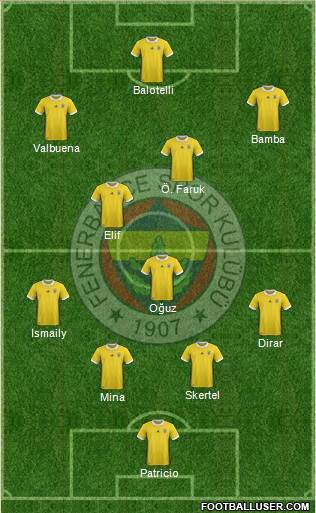Fenerbahçe SK Formation 2018