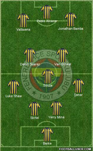 Fenerbahçe SK Formation 2018