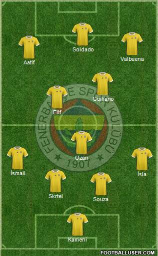 Fenerbahçe SK Formation 2018