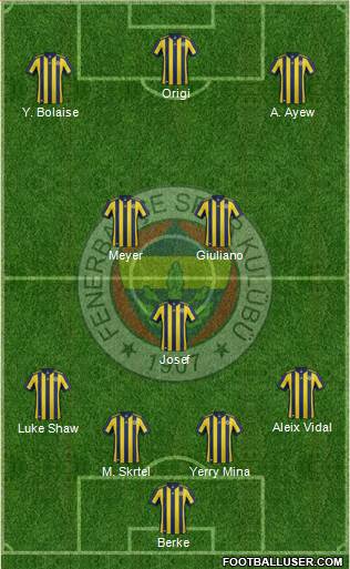 Fenerbahçe SK Formation 2018
