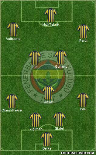 Fenerbahçe SK Formation 2018