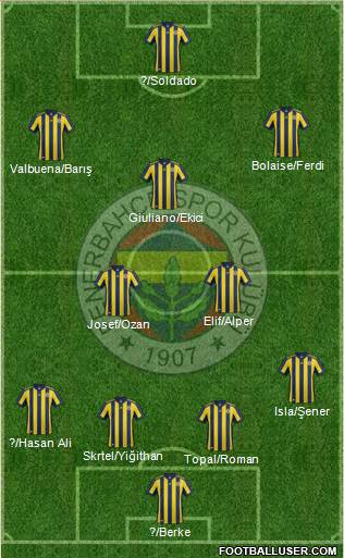 Fenerbahçe SK Formation 2018