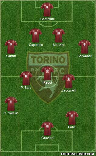 Torino Formation 2018