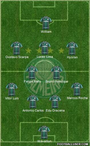 SE Palmeiras Formation 2018