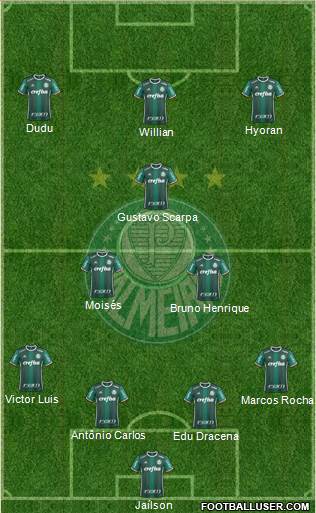 SE Palmeiras Formation 2018