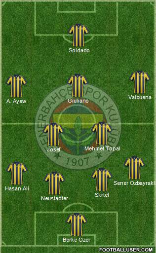 Fenerbahçe SK Formation 2018