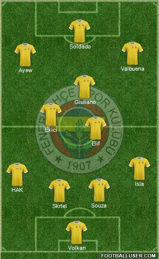Fenerbahçe SK Formation 2018